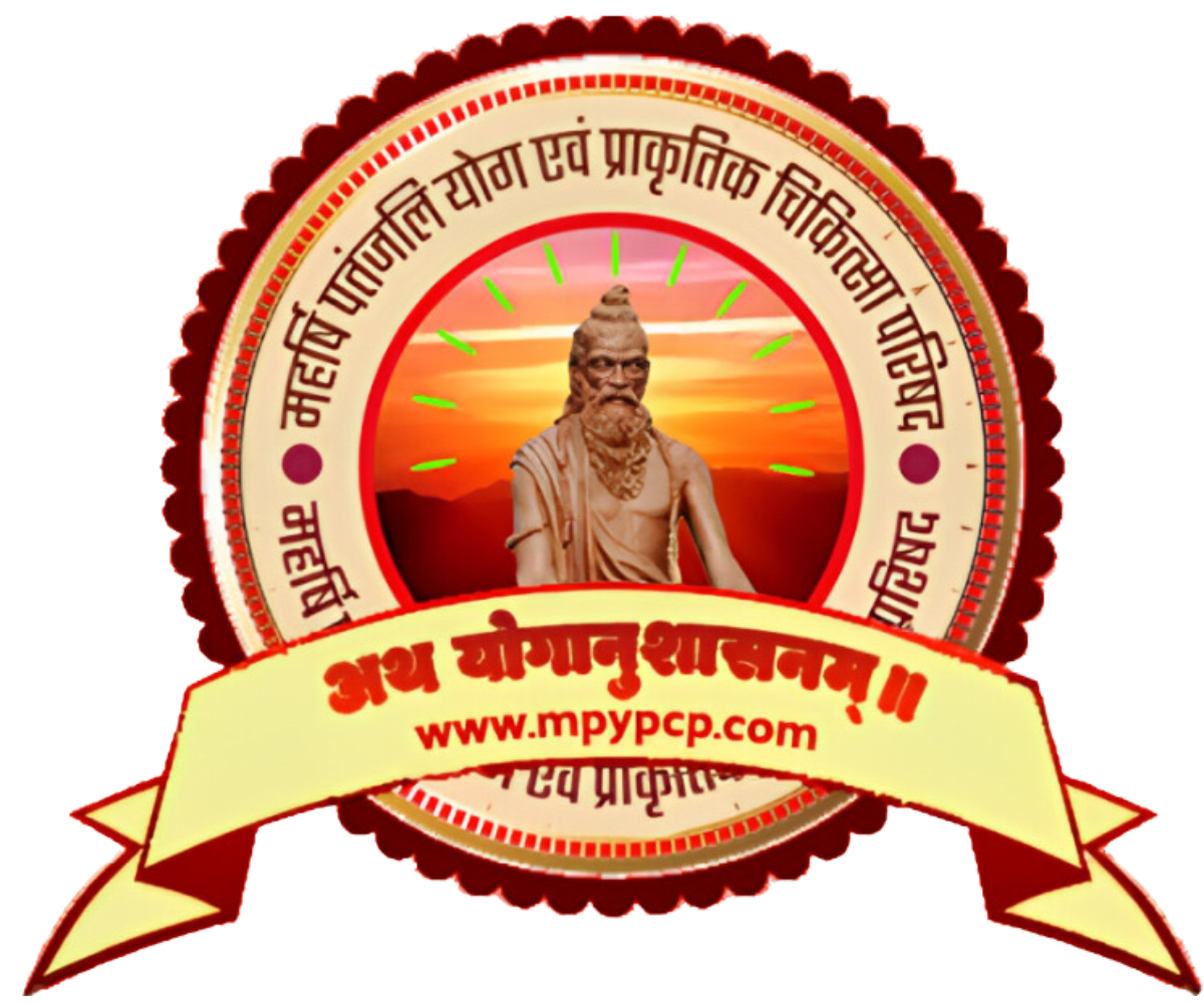MPYPCP logo