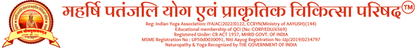 MPYPCP Logo