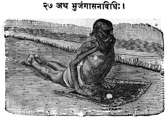 Bhujangasana cobra pose