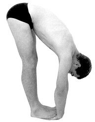 Padahastasana hip hinge