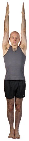 Step 11 Hasta Uttanasana return stretch